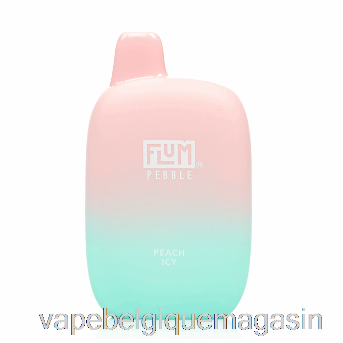 Vape Juice Flum Pebble 6000 Pêche Jetable Glacée